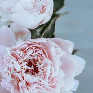 Meet your Posher, Irina